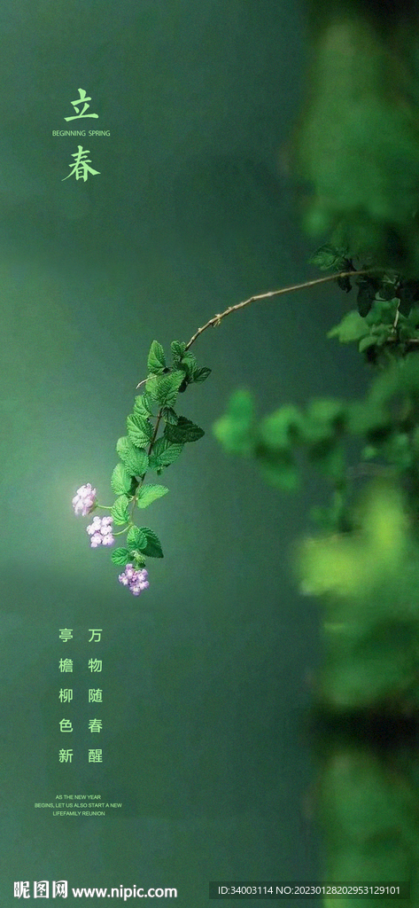 立春