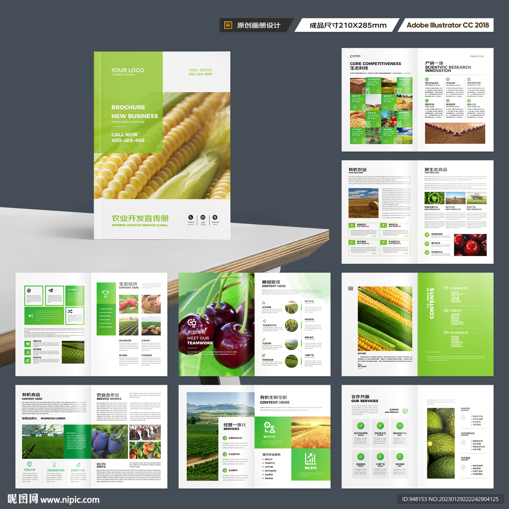 农产品宣传册