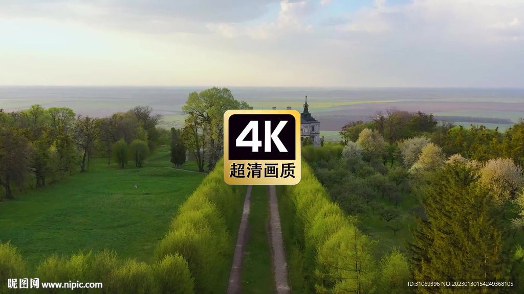 丛林中的白色古堡美景