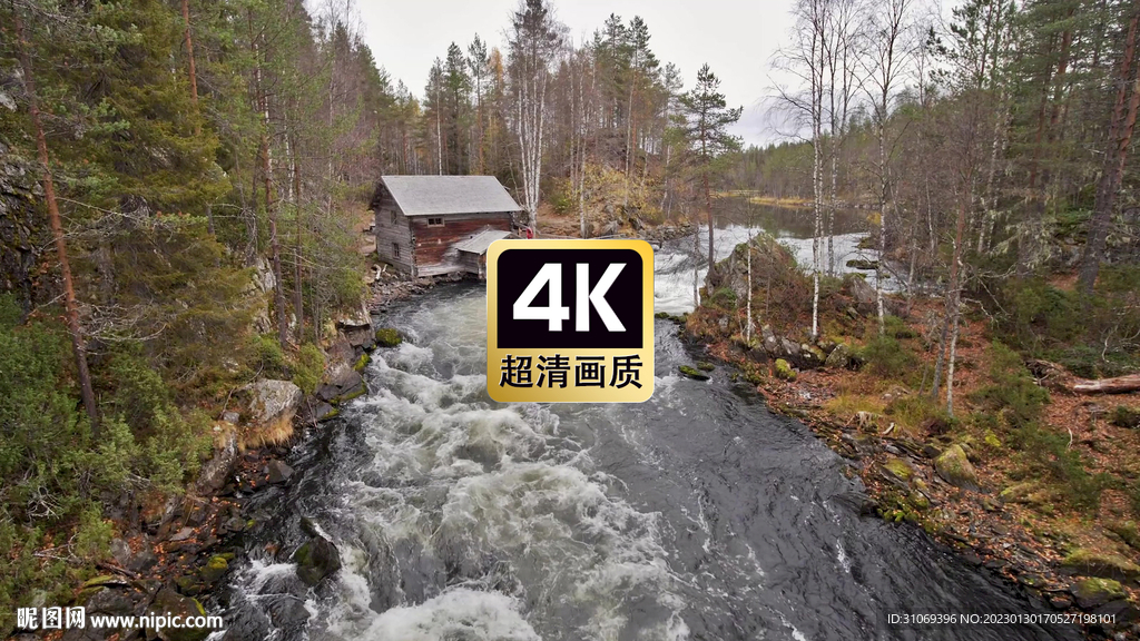 丛林河边小屋美景