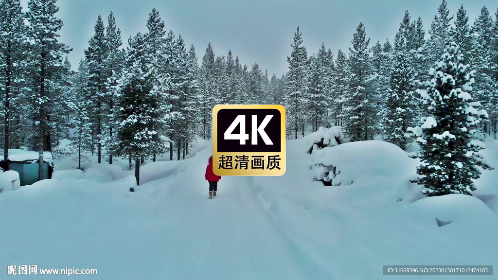 行走在冬季森林小路上