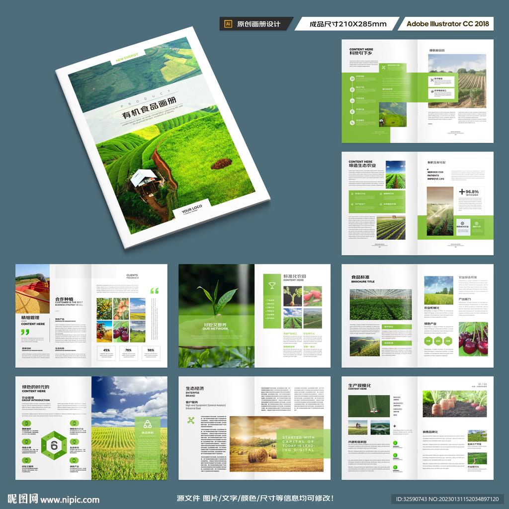 农产品宣传册