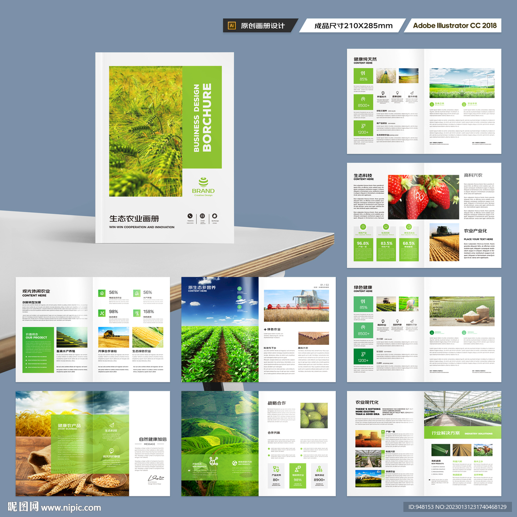 农业合作社画册