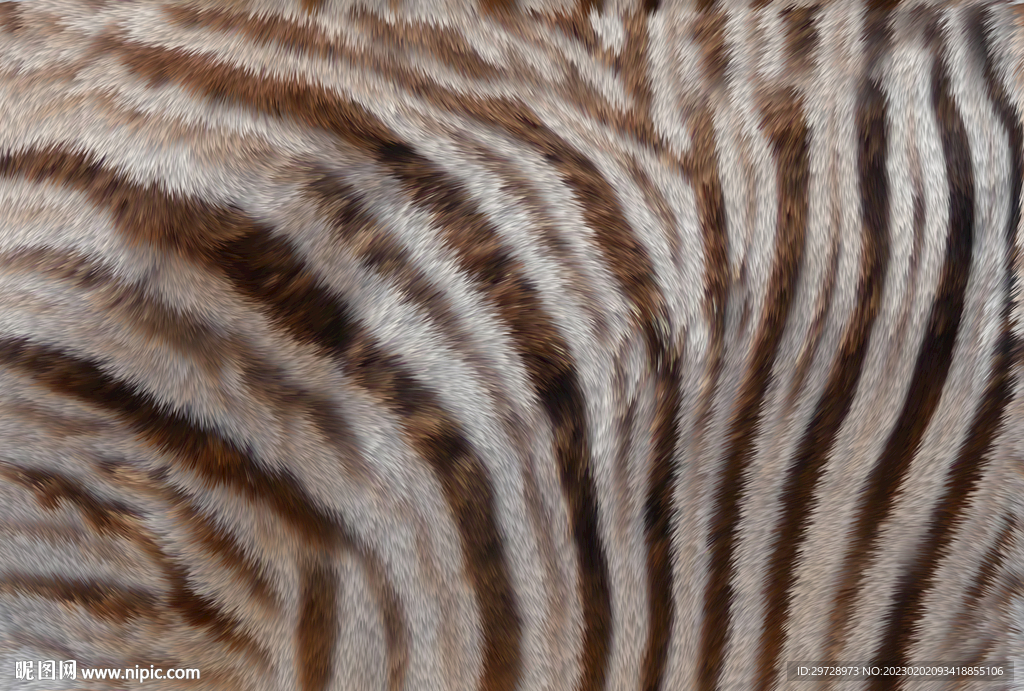 条纹皮毛纹理