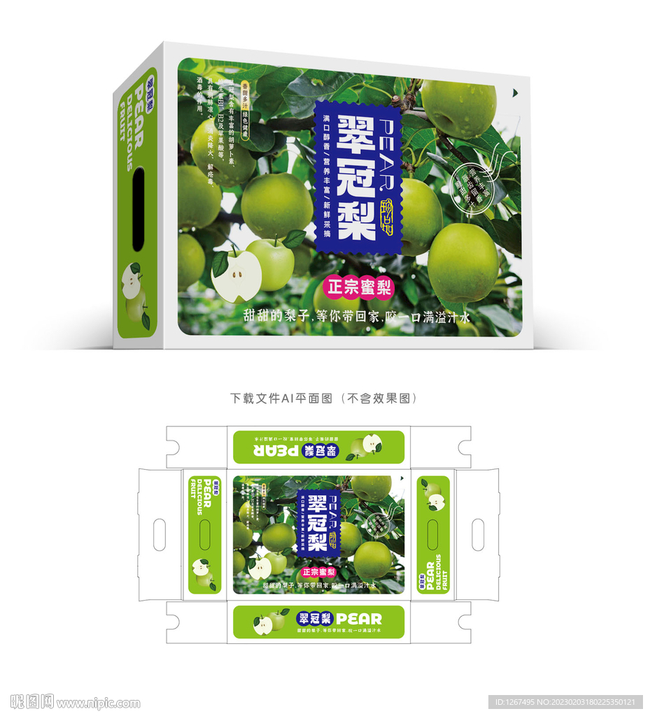 翠冠梨设计