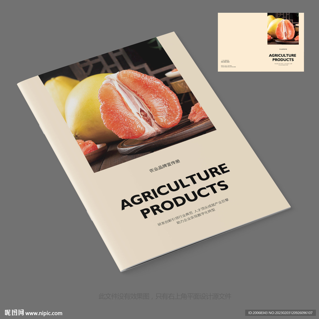均衡营养柚子农产品宣传册封面