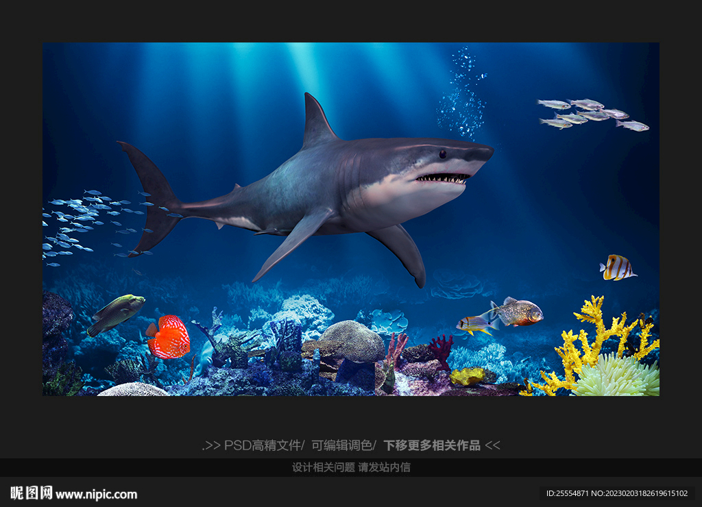 鲨鱼展览馆