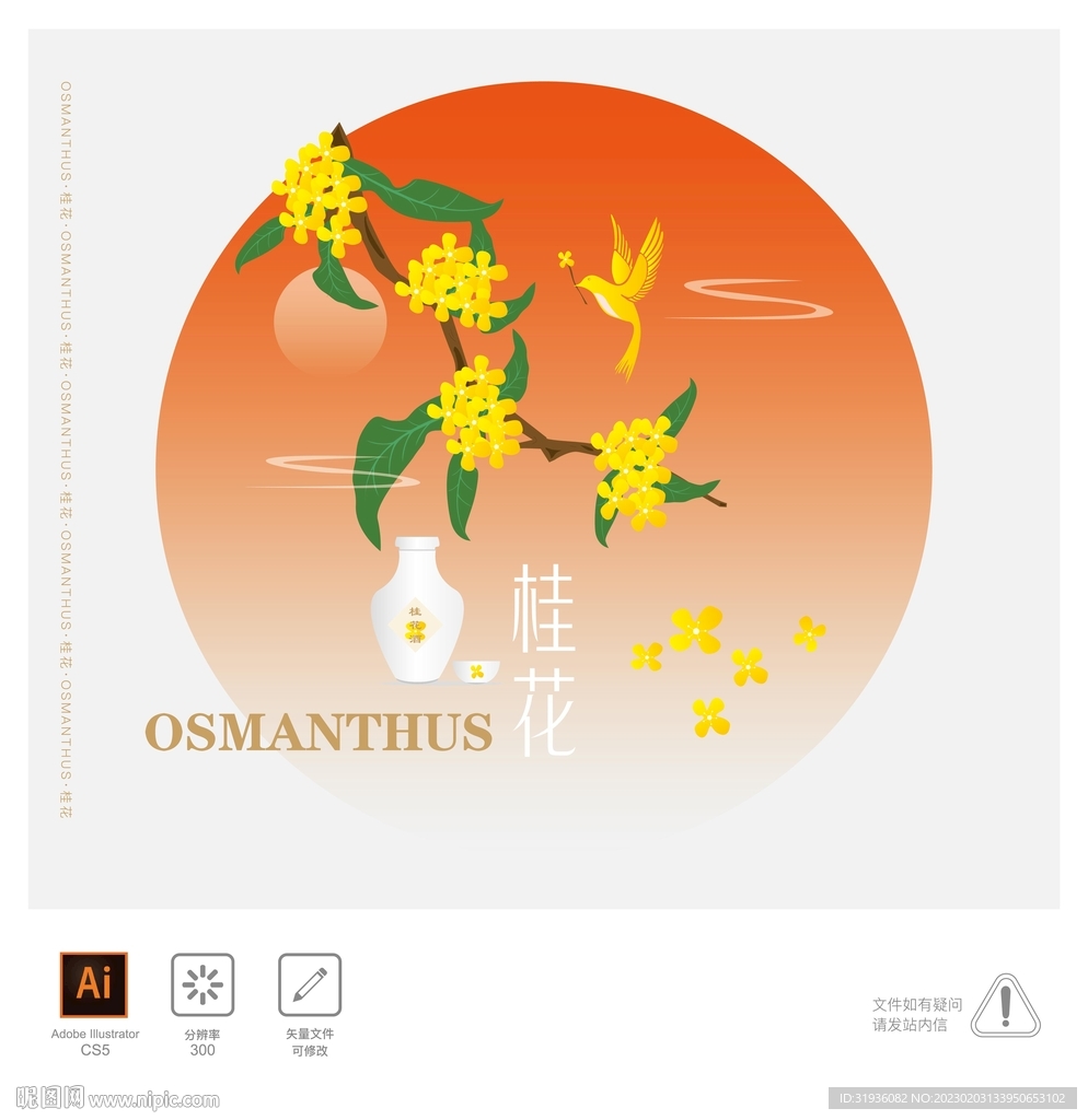 桂花 插画