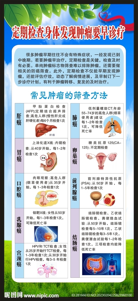 健康教育知识展架