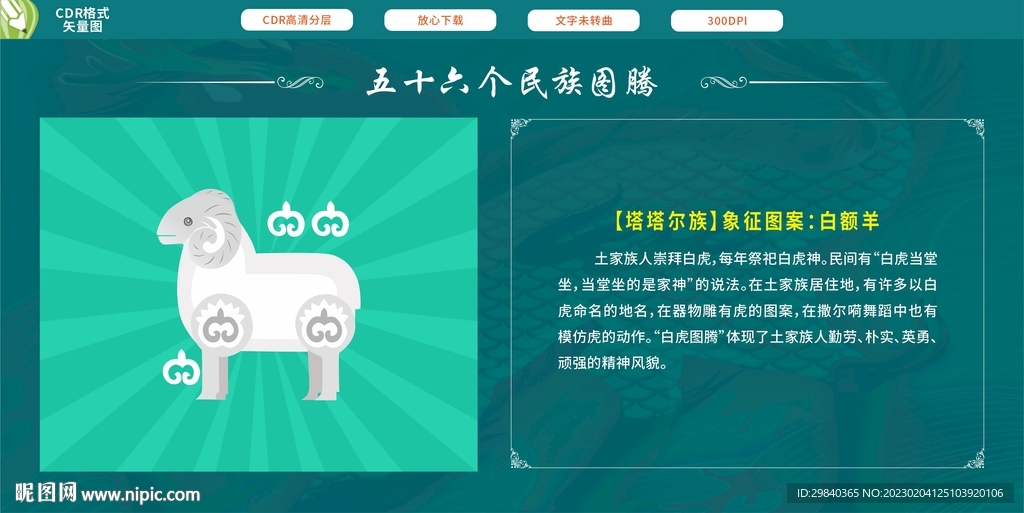 五十六个民族  塔塔尔族白额羊
