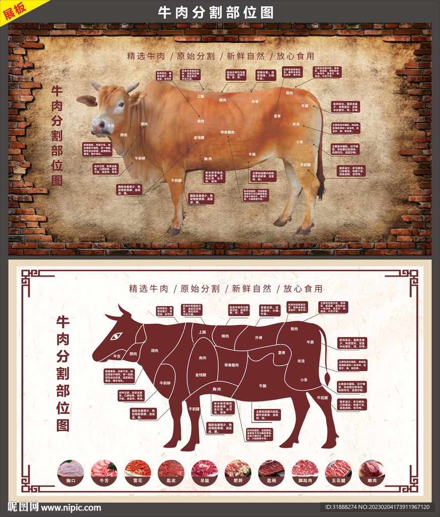 牛肉分割图