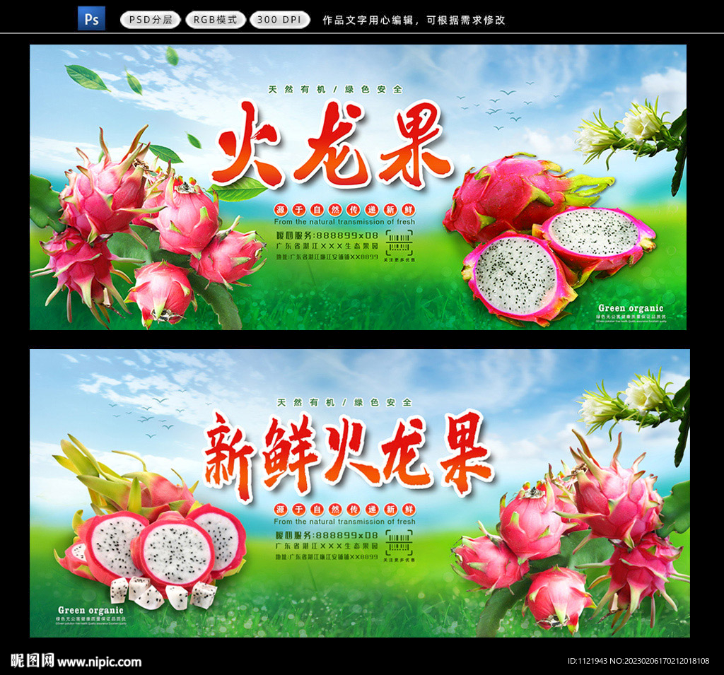 火龙果