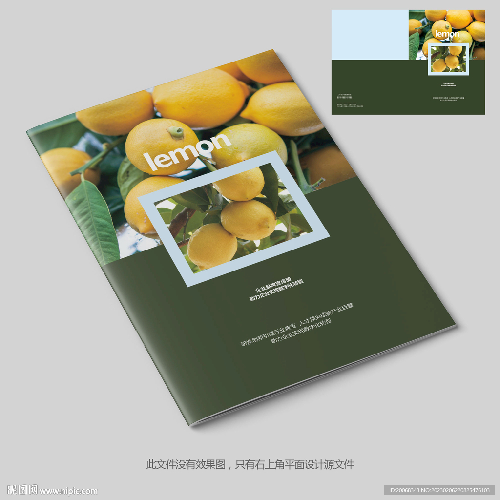 农业种植柠檬宣传册封面