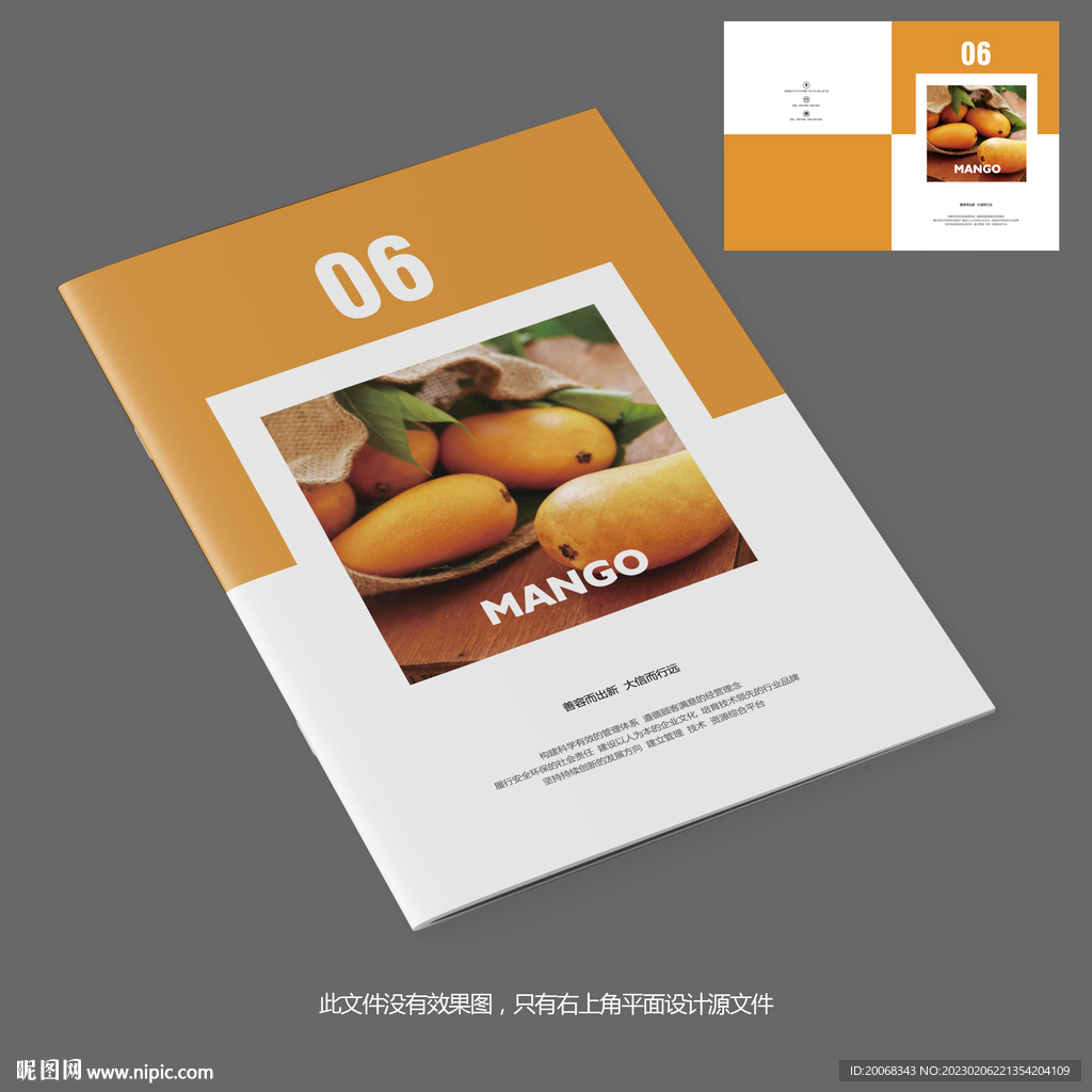 水果店芒果产品宣传画册