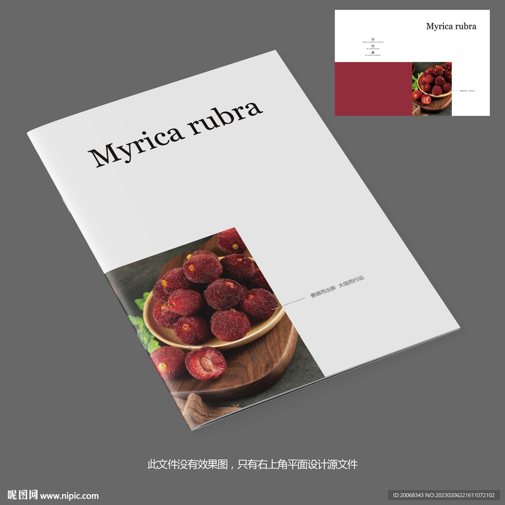 诱人杨梅水果产品宣传册封面