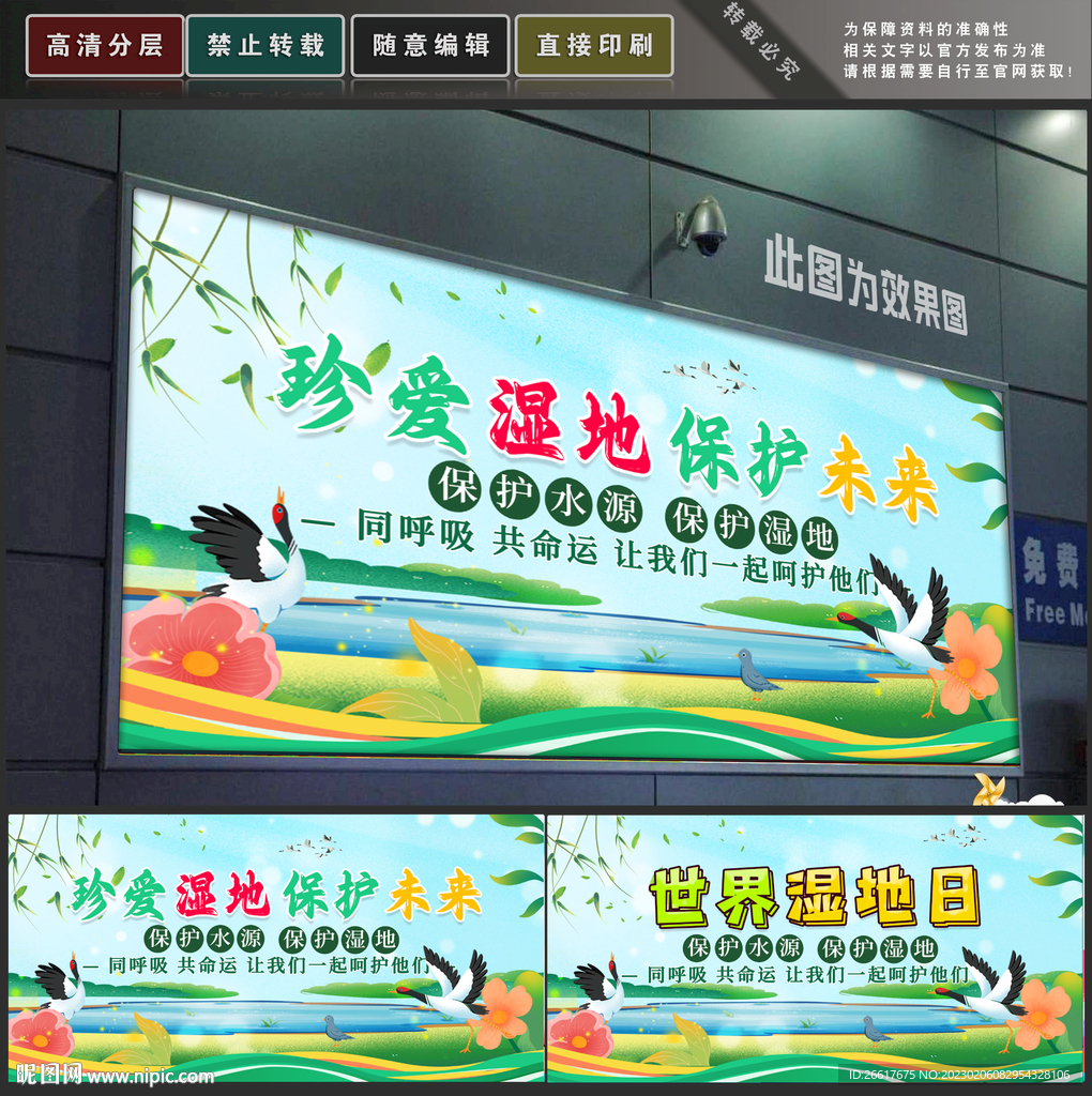湿地日