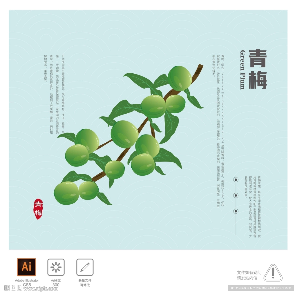 青梅