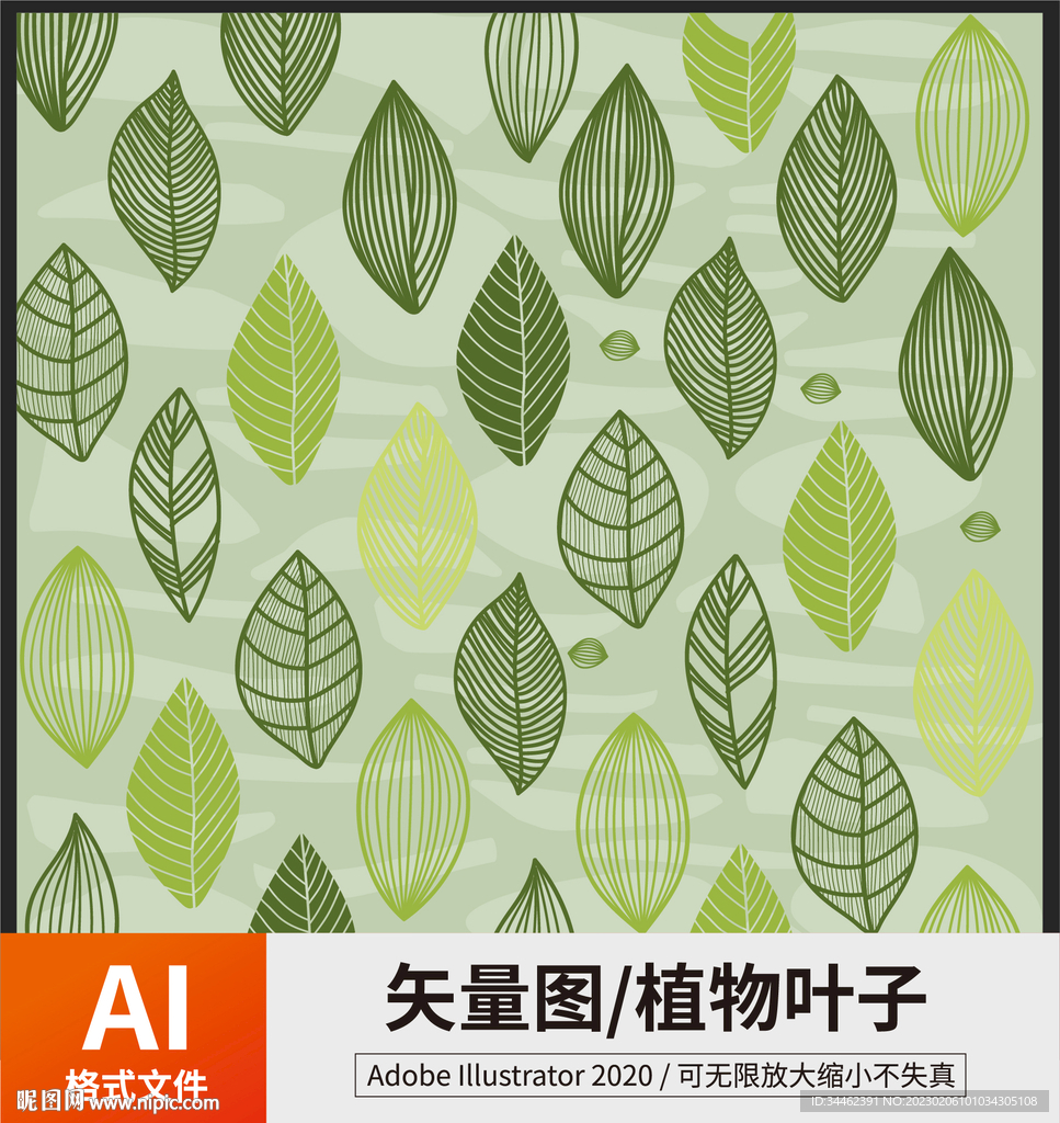 植物叶子