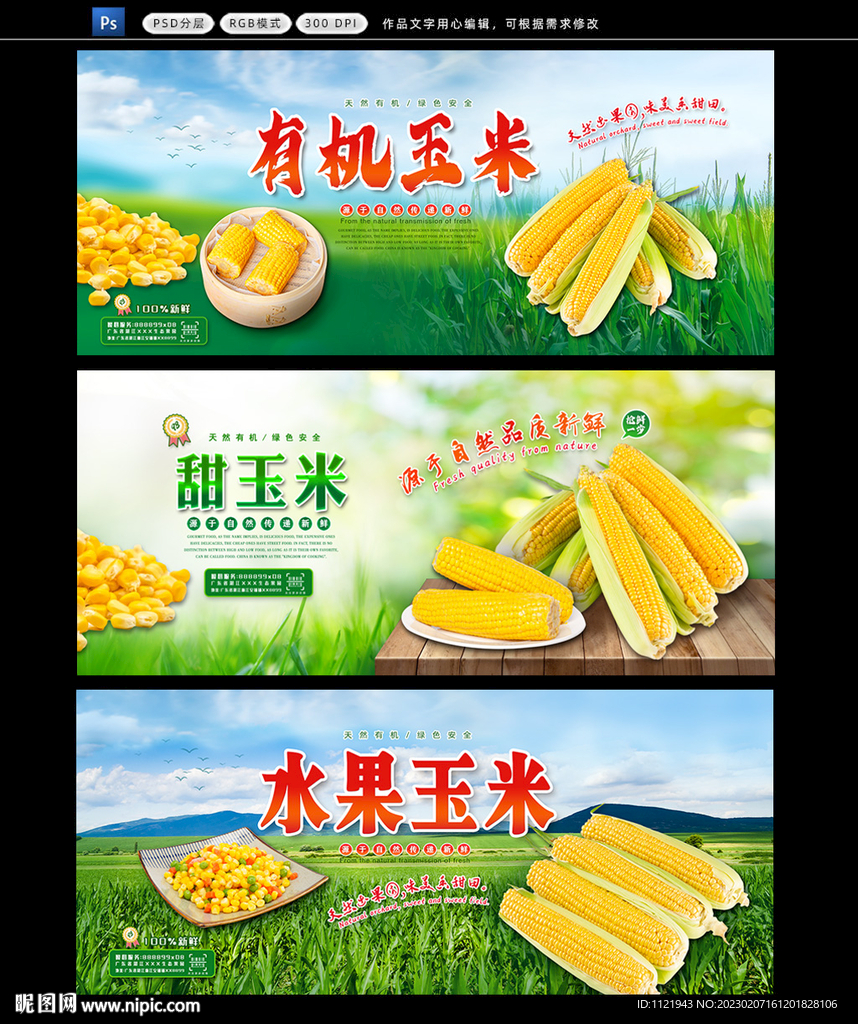 玉米展板