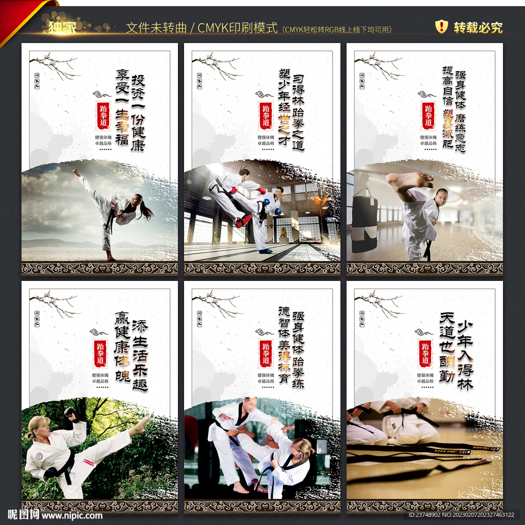 跆拳道宣传海报