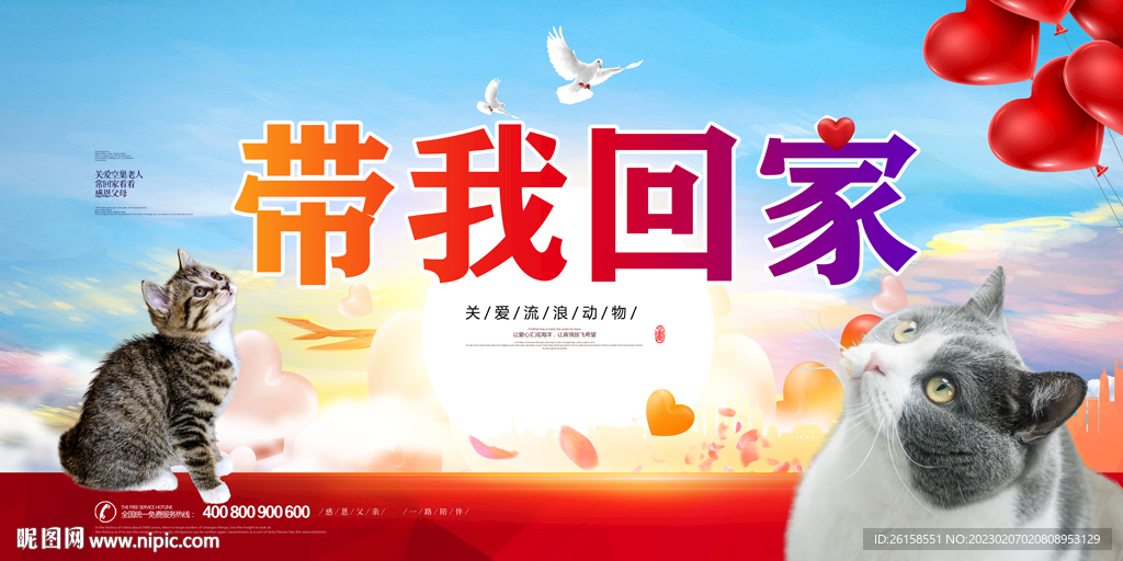 流浪宠物