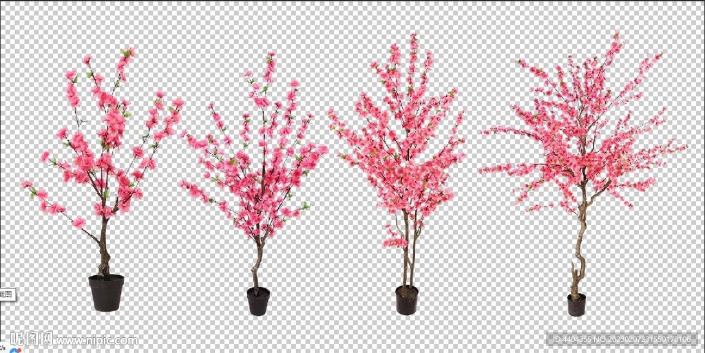 桃树桃花桃枝