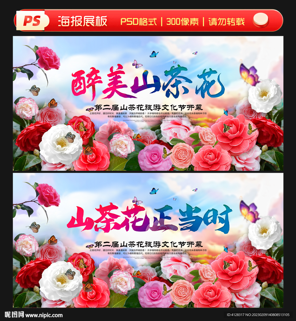 山茶花