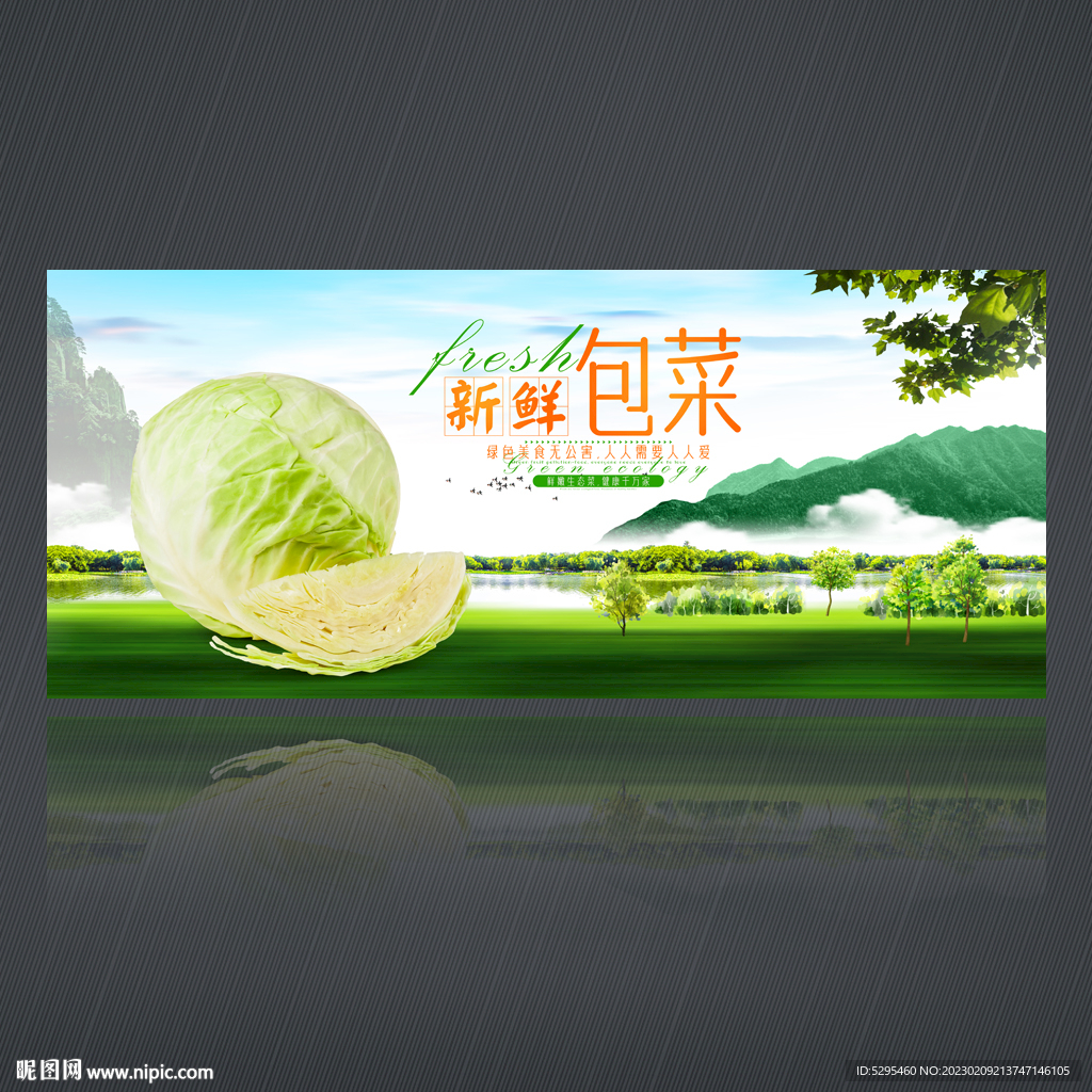 包菜