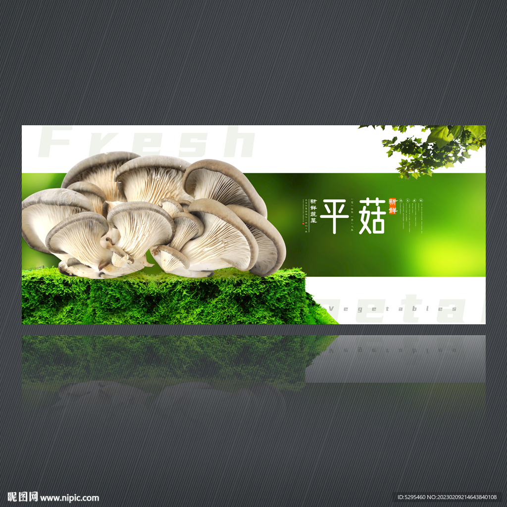 平菇
