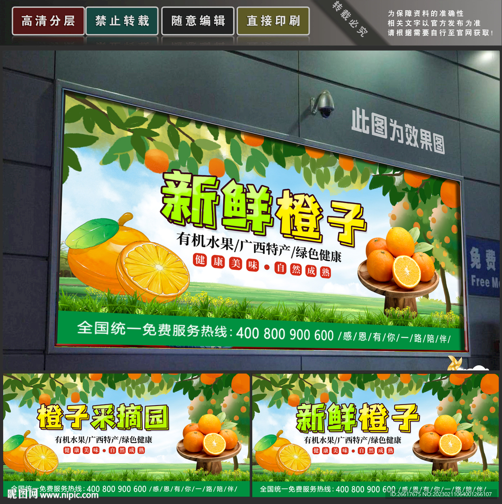 橙子