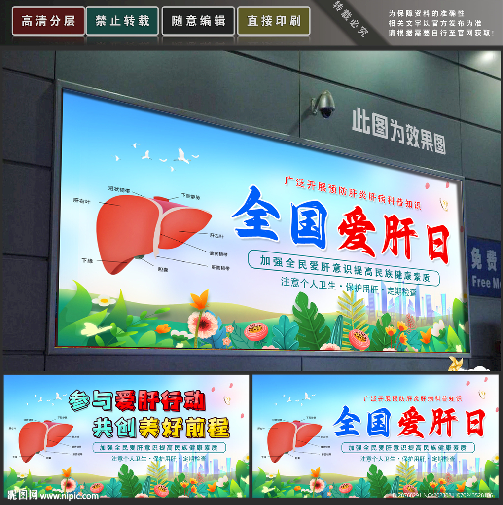 爱肝日