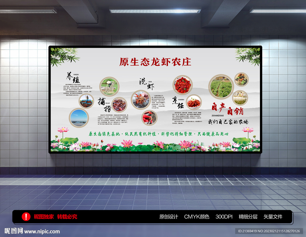 龙虾展板