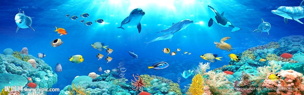 海底世界动物海藻珊瑚全屋背景