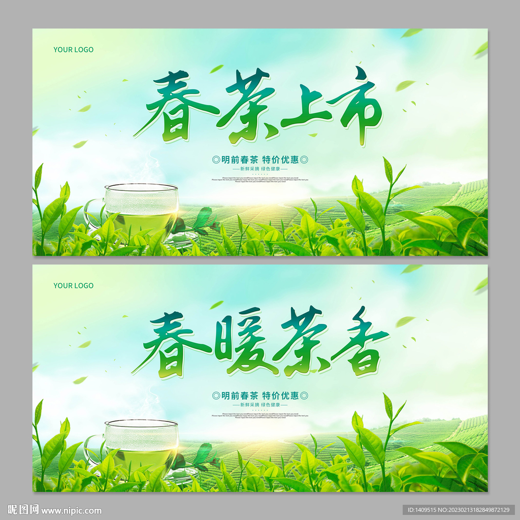 春茶