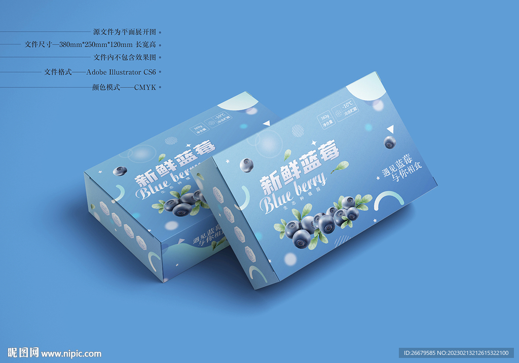 蓝莓包装 平面图