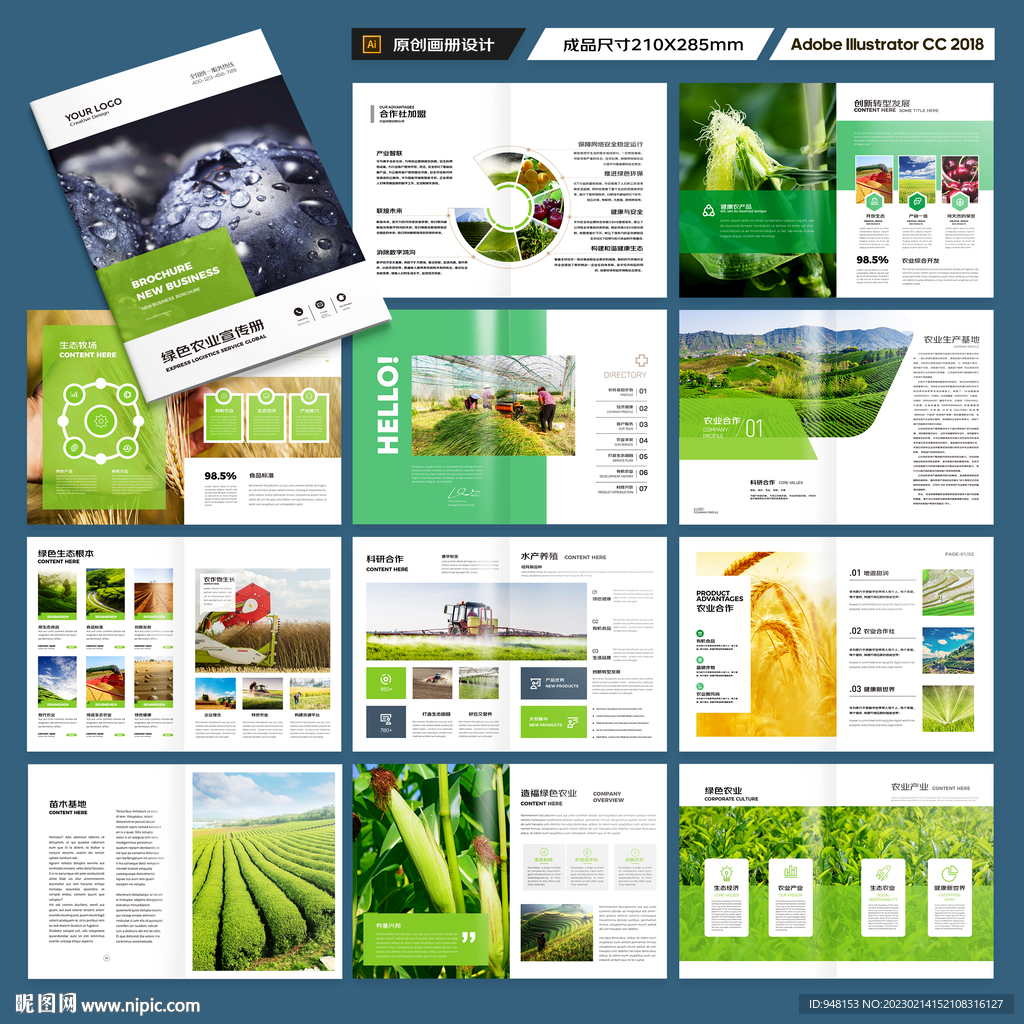 农业合作社画册