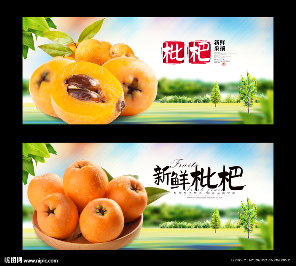 枇杷