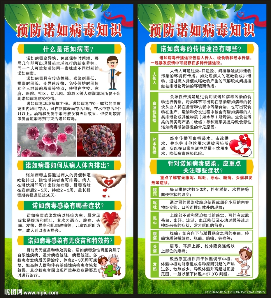 健康教育知识展架