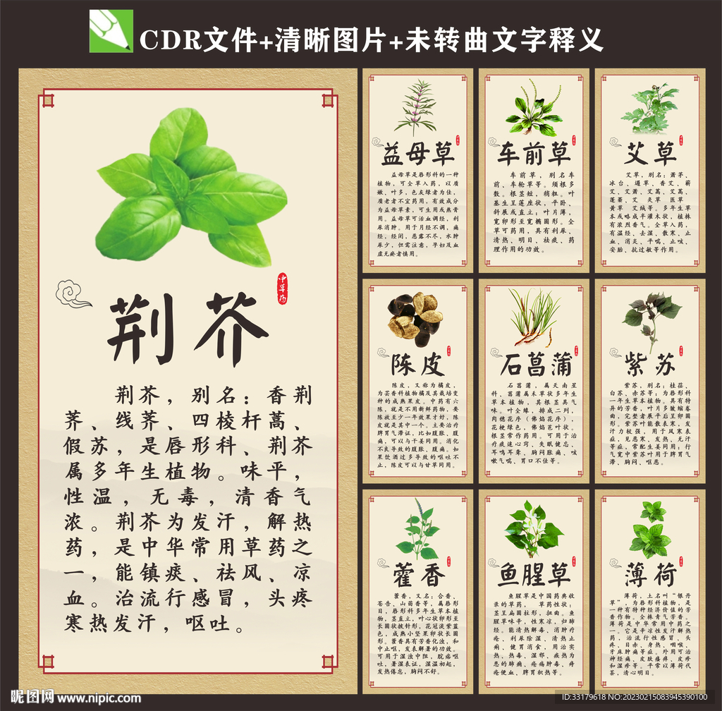 中药 中医 中草药