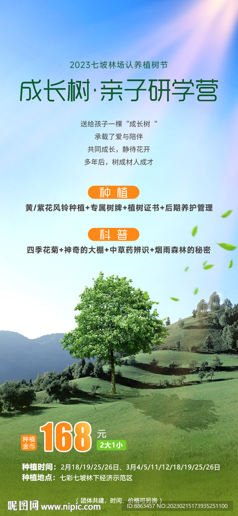 亲子植树