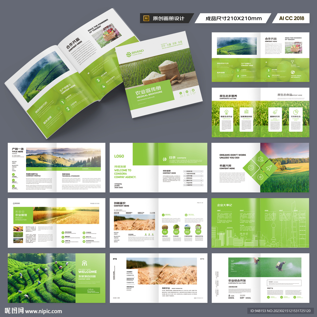 方形农业画册模板