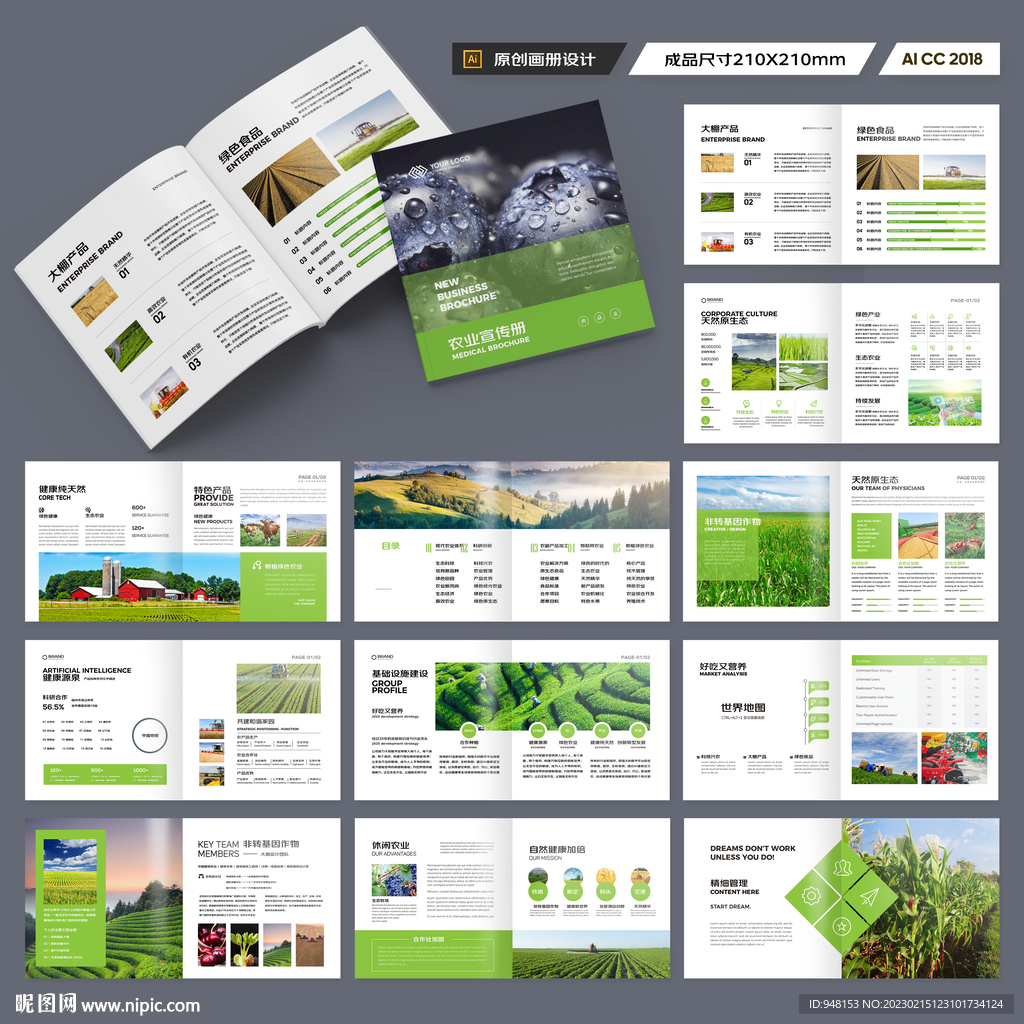 方形农业宣传册