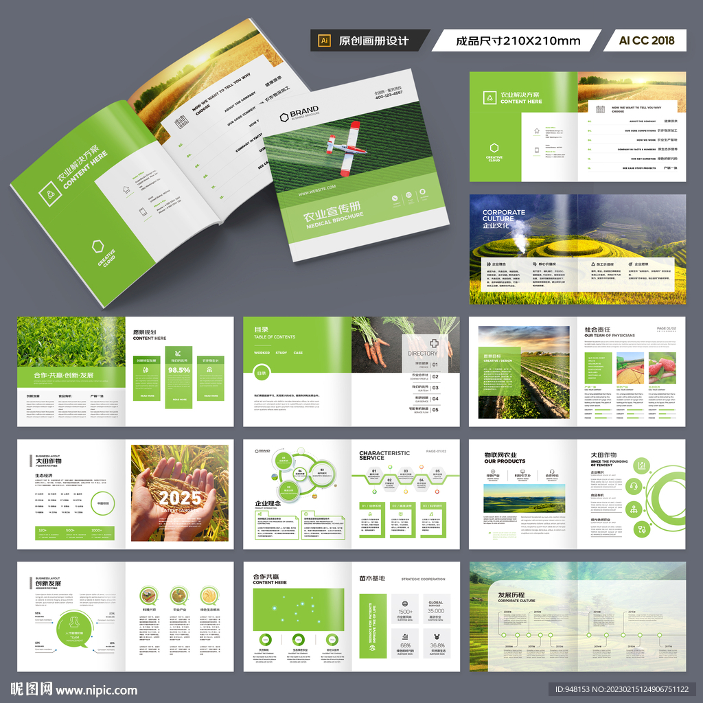 方形农产品宣传册