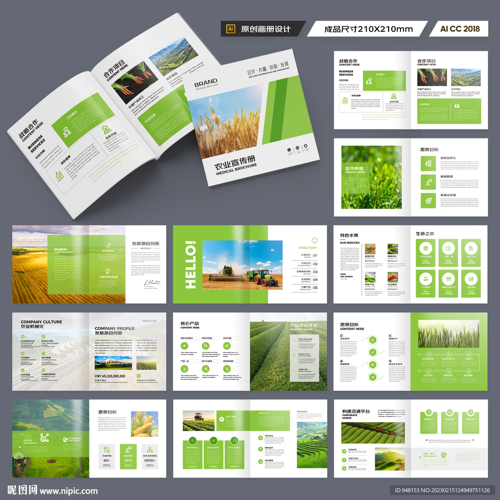 方形农业宣传册