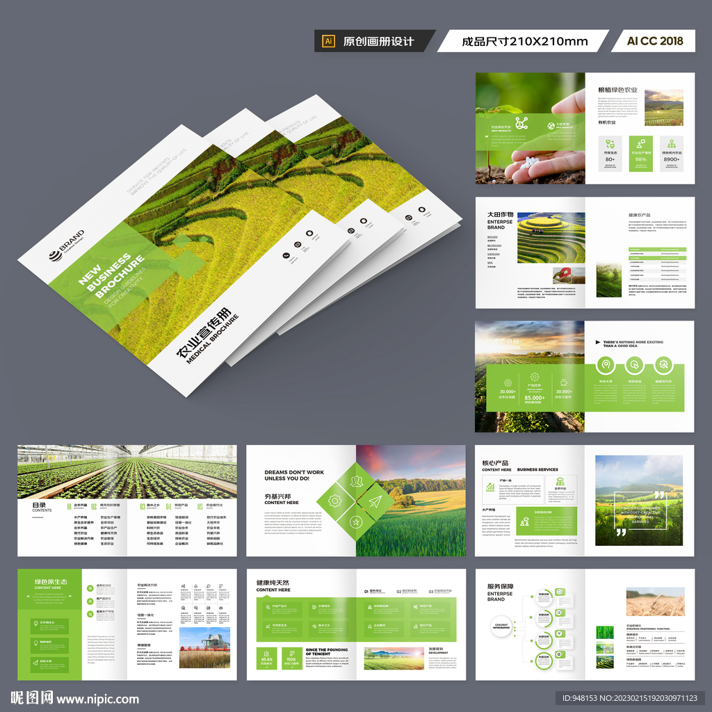 方形农产品宣传册