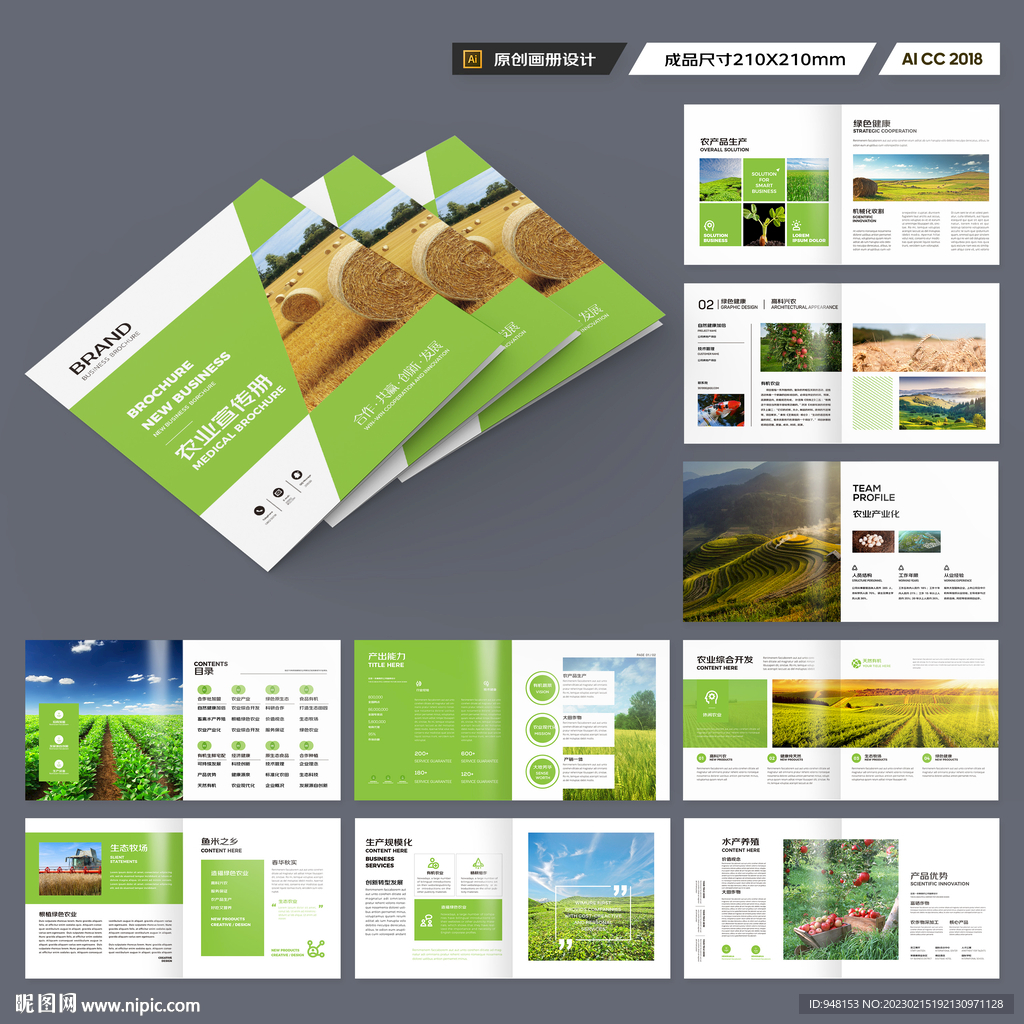方形农产品画册