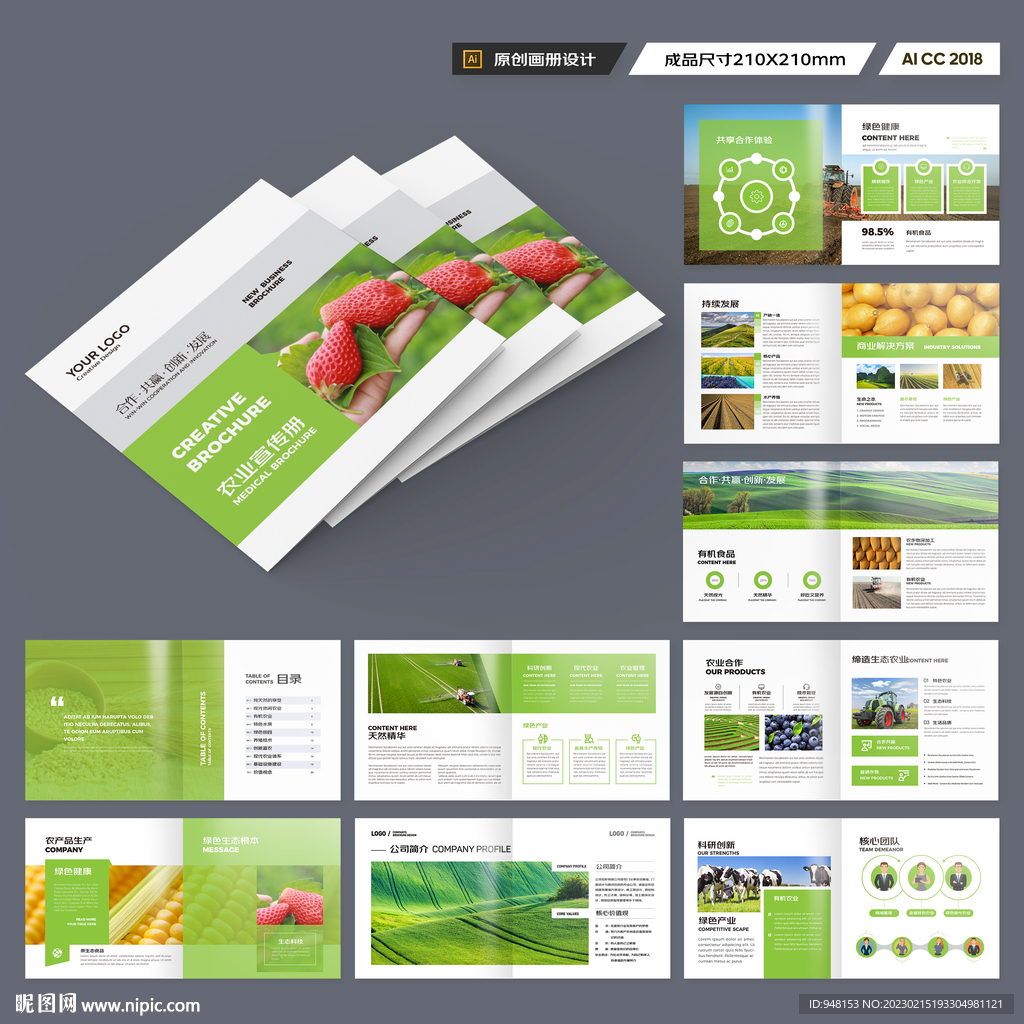 方形农产品宣传册