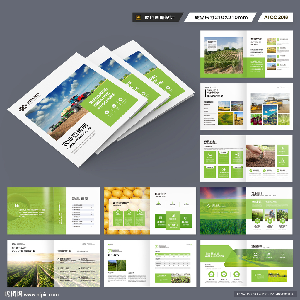 方形农业画册模板