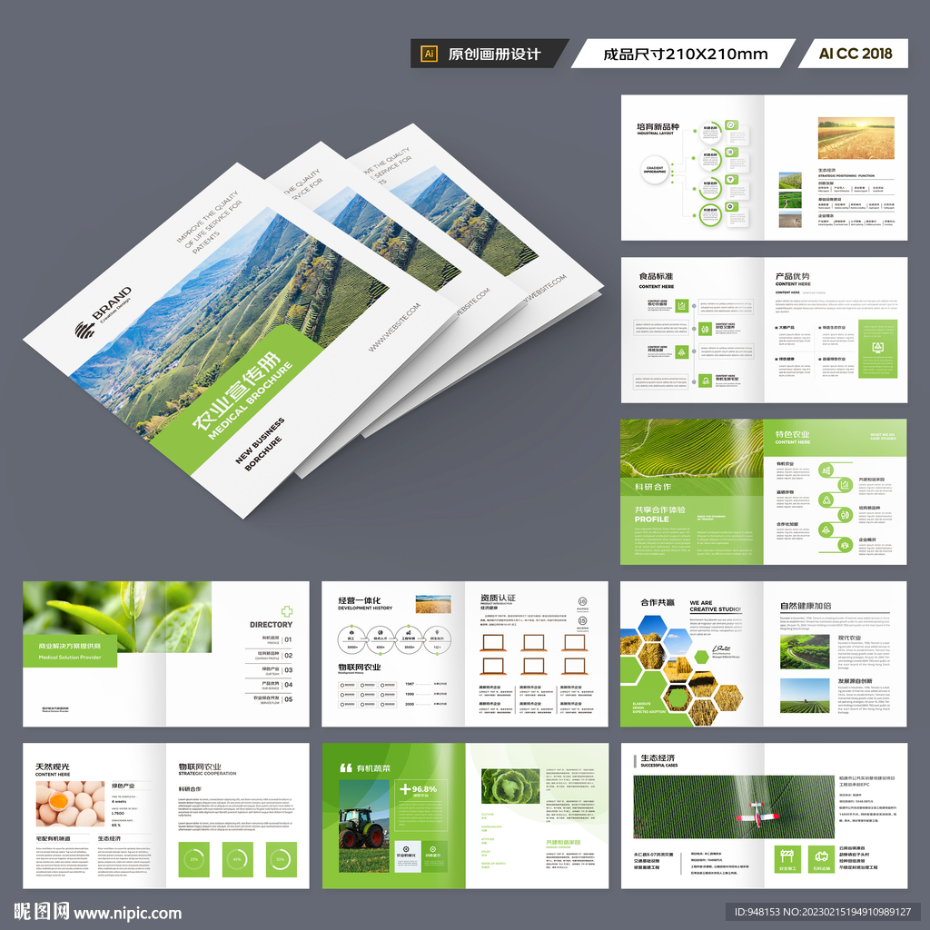 方形农产品宣传册