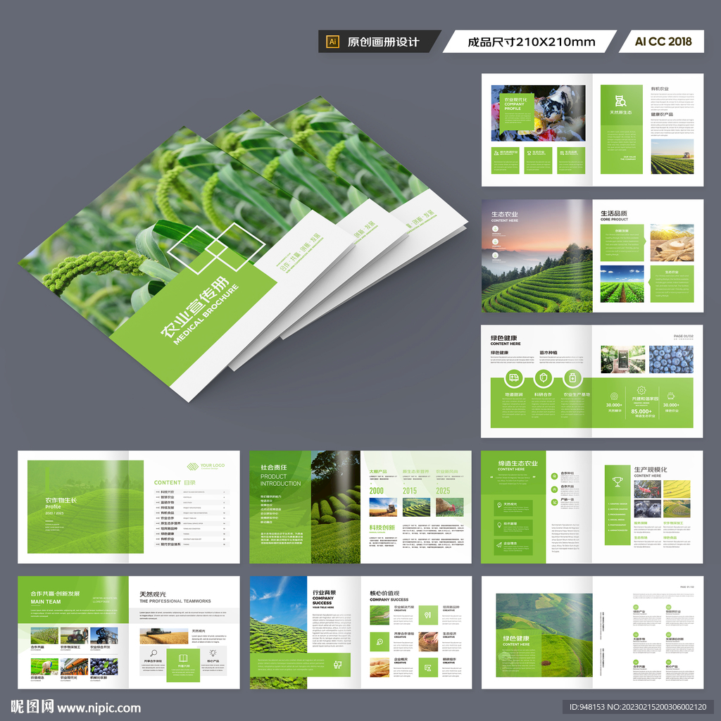 方形农产品画册